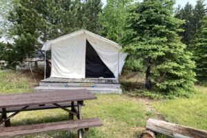 Blueberry Prospector