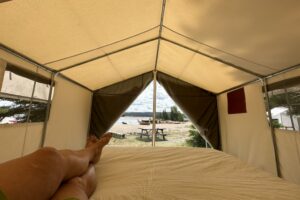 Blueberry prospector tent looking out