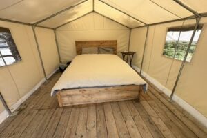 Blueberry prospector tent looking in